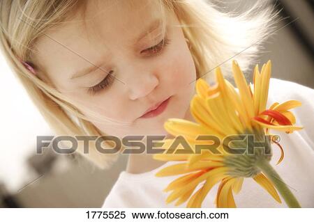 Little girl holding a flower View Large Photo Image Stock Photography - Little girl holding a flower. Fotosearch