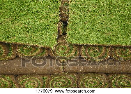 Stock Photo - Pile of sod. Fotosearch