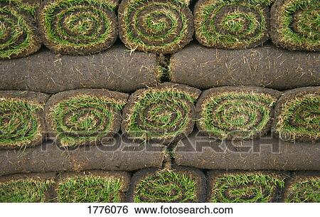 Stock Photograph - Rolls of sod. Fotosearch