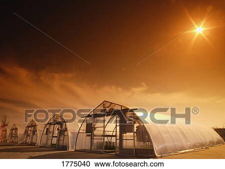 Stock Image - Row of commercial greenhouses. Fotosearch