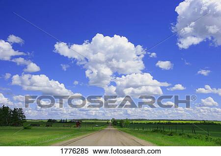 Rural road through green countryside View Large Photo Image Stock Photography - Rural road through green countryside. Fotosearch