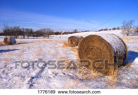 Stock Photo - Snow covered fields and hay. Fotosearch