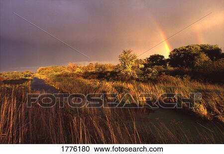 Stormy skies and rainbow View Large Photo Image Stock Image - Stormy skies and rainbow. Fotosearch