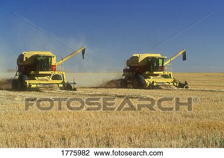 Two combines in field View Large Photo Image Stock Image - Two combines in field. Fotosearch