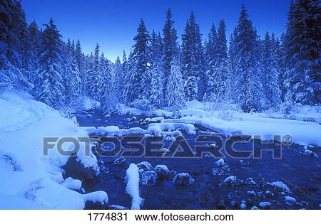 Winter wonderland View Large Photo Image Stock Image - Winter wonderland. Fotosearch