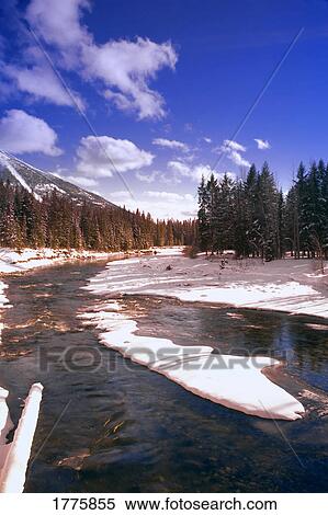 Stock Photography - Wintry river and coniferous forest. Fotosearch