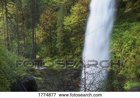 Woodland waterfall View Large Photo Image Stock Photo - Woodland waterfall. Fotosearch