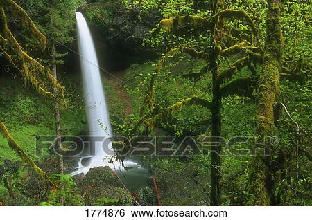 Stock Photograph - Woodland waterfall. Fotosearch