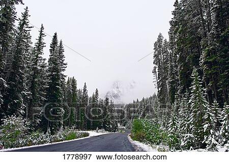 Stock Photo - A beautiful winter road. Fotosearch