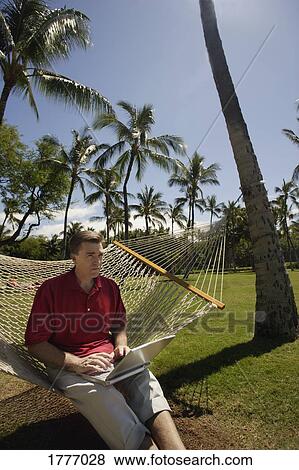 A business man with a laptop in a hammock View Large Photo Image Stock Photo - A business man with a laptop in a hammock. Fotosearch