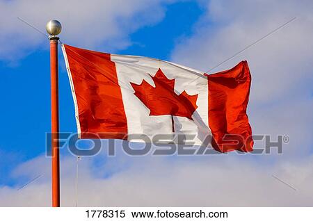 Stock Photography - A Canada Flag. Fotosearch