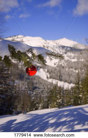 Picture - A Christmas decoration in the mountains. Fotosearch