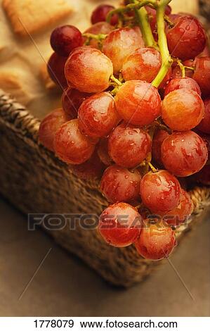 A close-up (closeup close up) of red grapes and a loaf of bread View Large Photo Image Stock Photo - A close-up (closeup close up) of red grapes and a loaf of bread. Fotosearch