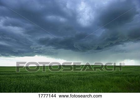 Picture - A cloudy sky over a field. Fotosearch