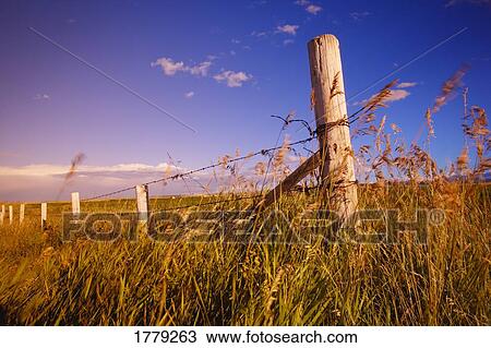 A fence View Large Photo Image Stock Image - A fence. Fotosearch