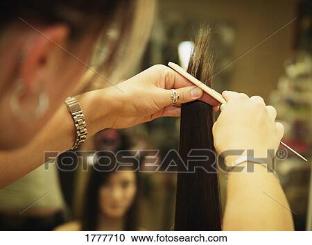 A hair stylist styling a young woman's hair View Large Photo Image Stock Image - A hair stylist styling a young woman's hair. Fotosearch