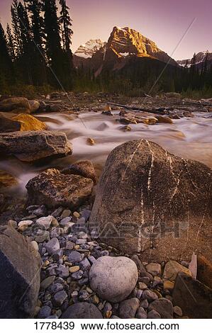A mountain stream View Large Photo Image Stock Photo - A mountain stream. Fotosearch
