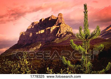 A mountain view View Large Photo Image Stock Photography - A mountain view. Fotosearch