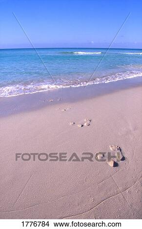 Picture - A pair of footprints in the sand. Fotosearch