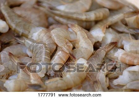 A pile of raw shrimps View Large Photo Image Stock Image - A pile of raw shrimps. Fotosearch