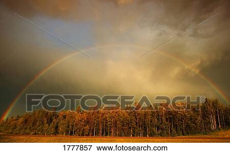 A rainbow over a wooded area View Large Photo Image Stock Photo - A rainbow over a wooded area. Fotosearch