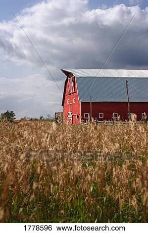A red barn View Large Photo Image Stock Photograph - A red barn. Fotosearch