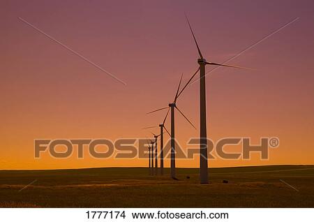 A row of windmills against a sunrise View Large Photo Image Picture - A row of windmills against a sunrise. Fotosearch