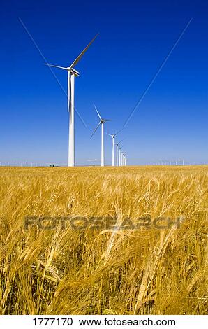 A row of windmills View Large Photo Image Stock Image - A row of windmills. Fotosearch