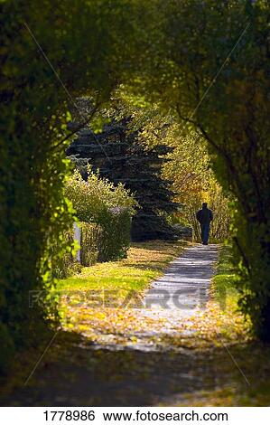 A scenic walk View Large Photo Image Stock Photograph - A scenic walk. Fotosearch