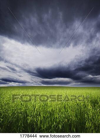 A stormy sky View Large Photo Image Picture - A stormy sky. Fotosearch