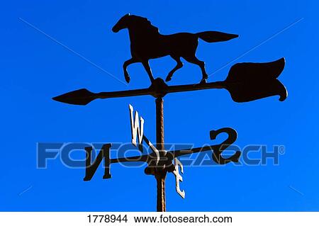 Picture - A wind compass. Fotosearch