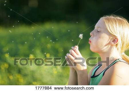 A young girl blowing dandelion seeds in the breeze View Large Photo Image Picture - A young girl blowing dandelion seeds in the breeze. Fotosearch