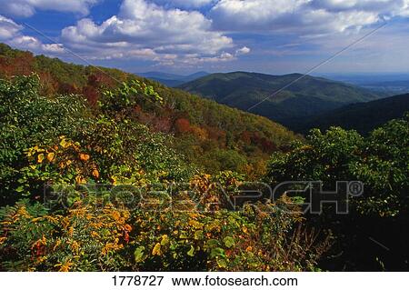 Stock Photo - Blue Ridge Mountains. Fotosearch