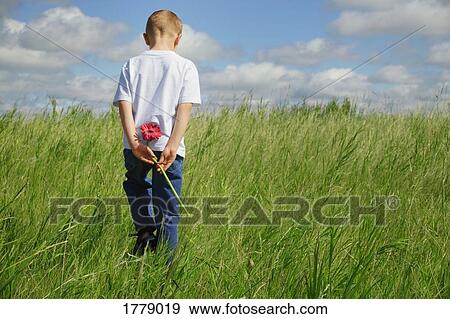 Stock Photo - Boy holds a flower behind his back. Fotosearch