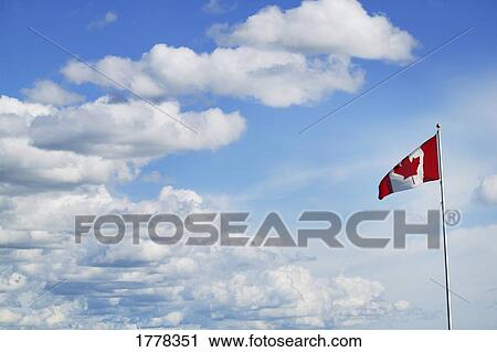 Canadian flag View Large Photo Image Stock Image - Canadian flag. Fotosearch