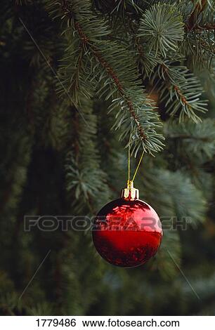 Stock Photograph - Closeup of a tree ornament. Fotosearch