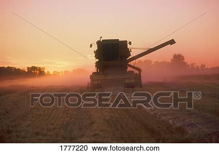 Stock Image - Combine harvester at work. Fotosearch