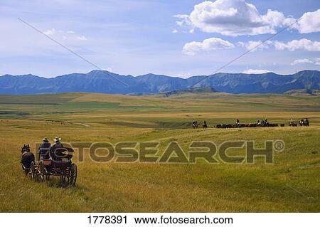 Cowboys and Wagon on a Cattle Drive View Large Photo Image Stock Image - Cowboys and Wagon on a Cattle Drive. Fotosearch