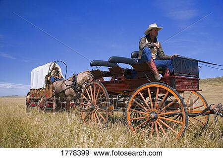 Cowboys driving their Wagons View Large Photo Image Stock Photo - Cowboys driving their Wagons. Fotosearch