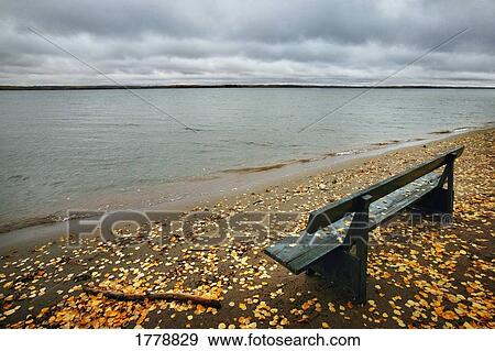 Empty bench near water View Large Photo Image Stock Photo - Empty bench near water. Fotosearch