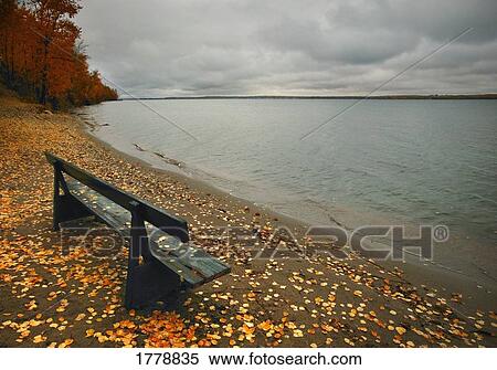 Empty bench on shore in autumn View Large Photo Image Stock Photography - Empty bench on shore in autumn. Fotosearch