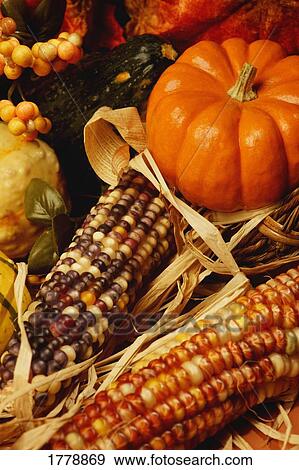 Stock Photo - Fall vegetables. Fotosearch
