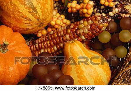 Fall vegetables View Large Photo Image Stock Photography - Fall vegetables. Fotosearch