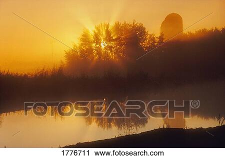 Stock Image - Farm Silos at Sunrise. Fotosearch