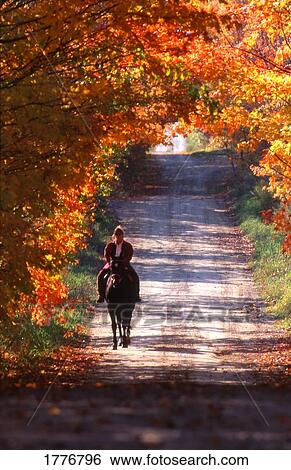 Horseback Riding under autumn trees View Large Photo Image Stock Photograph - Horseback Riding under autumn trees. Fotosearch