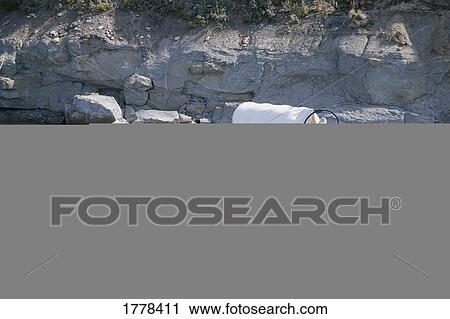 Horses pull Chuck wagon through river View Large Photo Image Stock Image - Horses pull Chuck wagon through river. Fotosearch