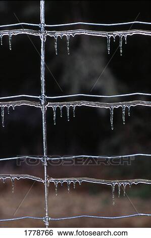 Icicles on a wire fence View Large Photo Image Stock Photograph - Icicles on a wire fence. Fotosearch