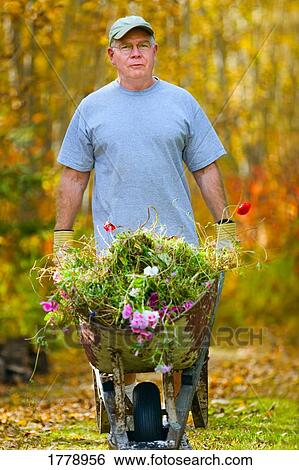 Man doing yard work View Large Photo Image Stock Photograph - Man doing yard work. Fotosearch