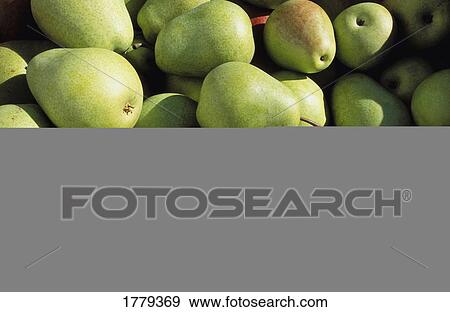 Pears View Large Photo Image Stock Photo - Pears. Fotosearch