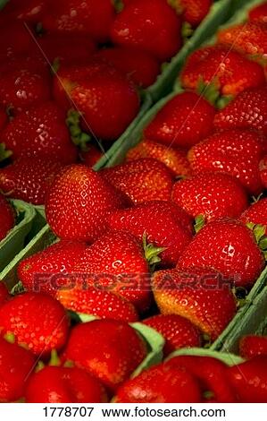 Red strawberries View Large Photo Image Stock Photo - Red strawberries. Fotosearch